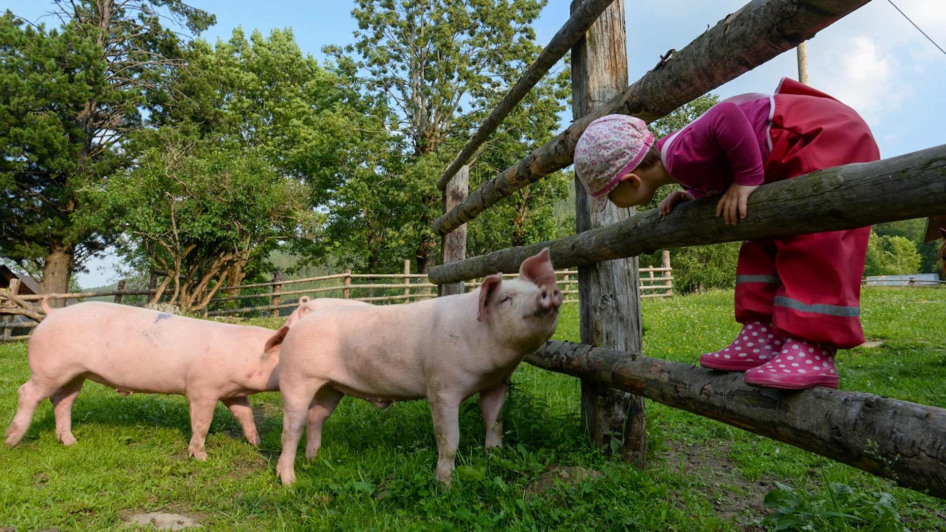 02_ottingerhof-header-landwirtschaft