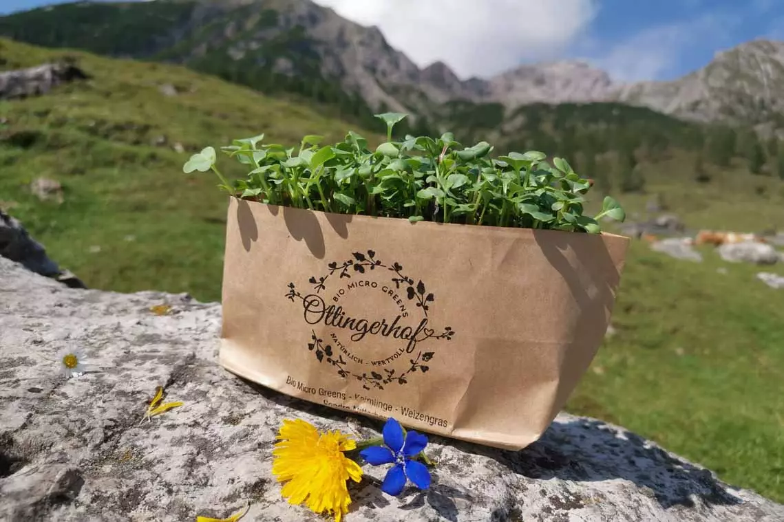 Bio-Keimlinge vom Ottingerhof