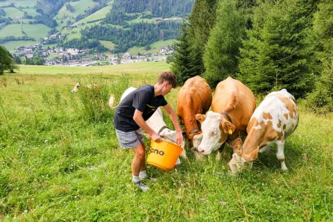 22_ottingerhof_almbesuch