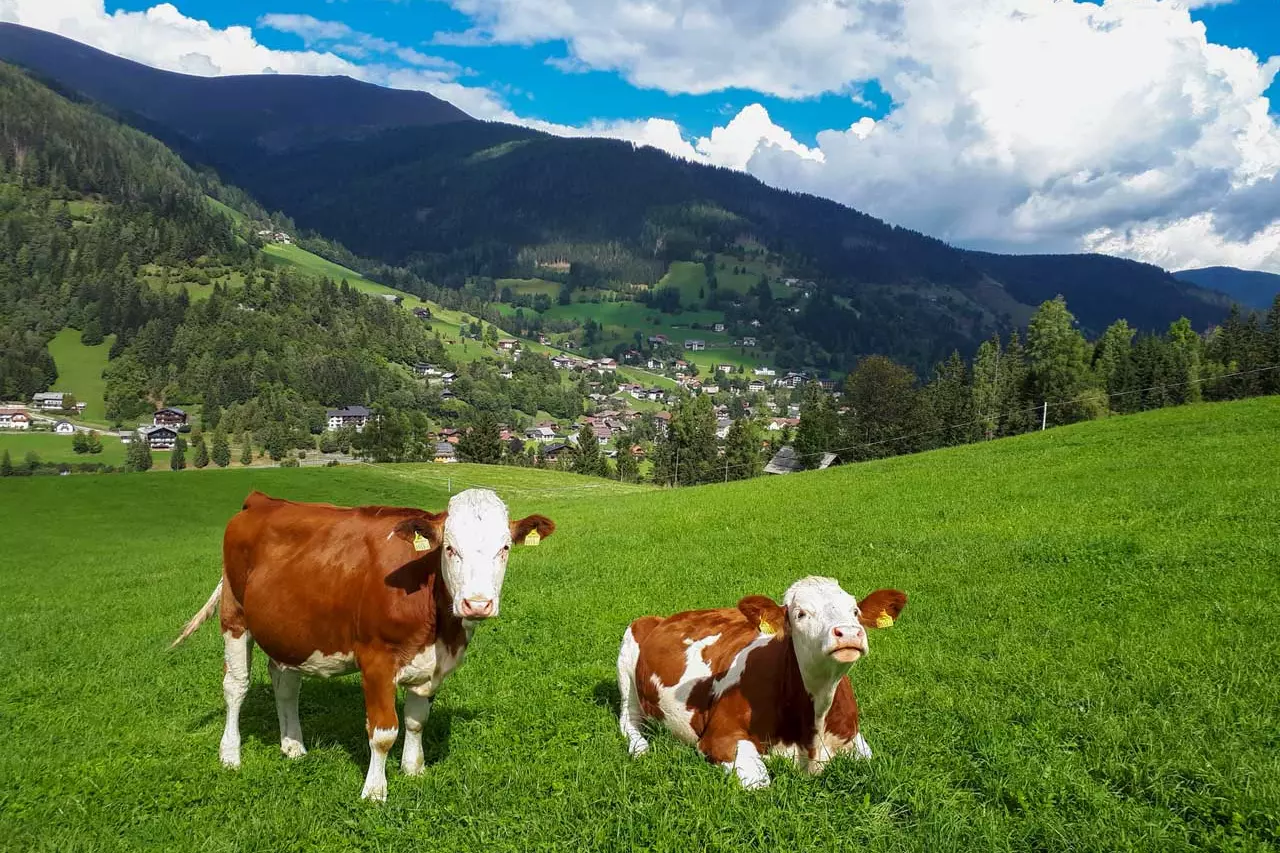 Rootedness & Openness