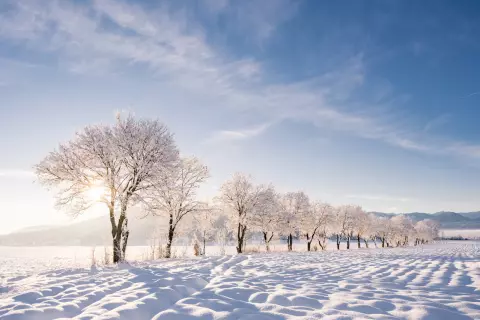 02_ottingerhof-winterwandern