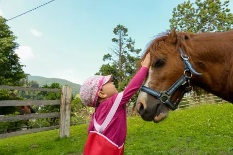 16_ottingerhof_tiere-erleben