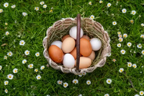 23_ottingerhof_bioeier