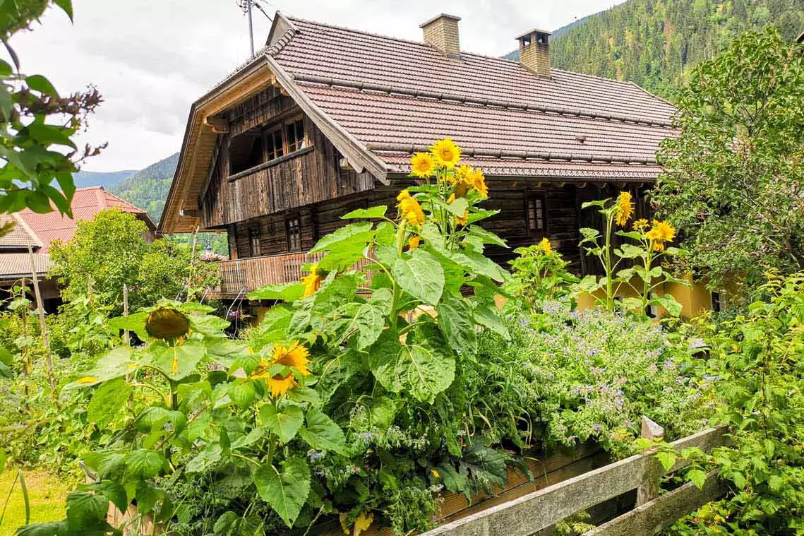 Mindfulness Towards Nature