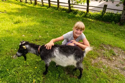 18_ottingerhof_zwergziege